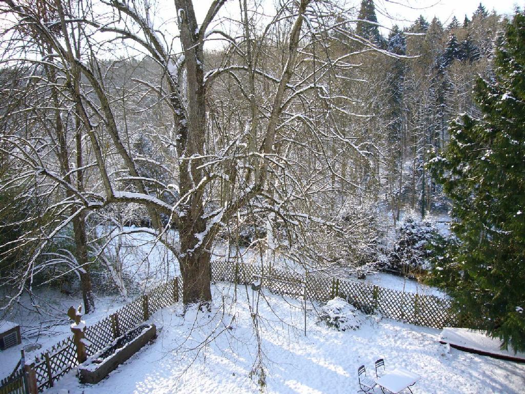 Burghof Wallhausen คอนสตานซ์ ภายนอก รูปภาพ